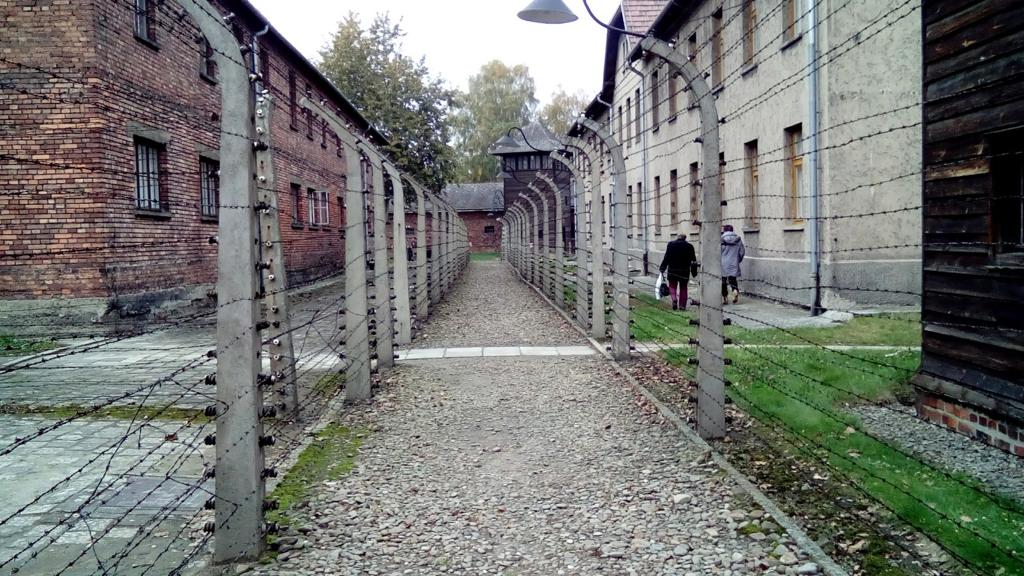 Alambres de púa a cada metro - Auschwitz