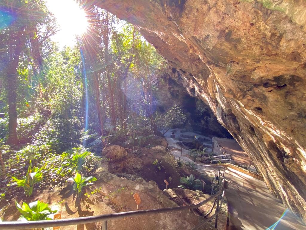 Cueva Redonda - Cuevas dels Hams