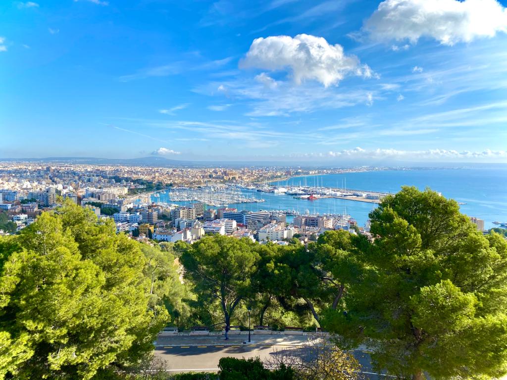 Paseo Marítimo visto desde lo alto