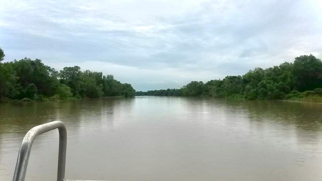 ver cocodrilos en australia