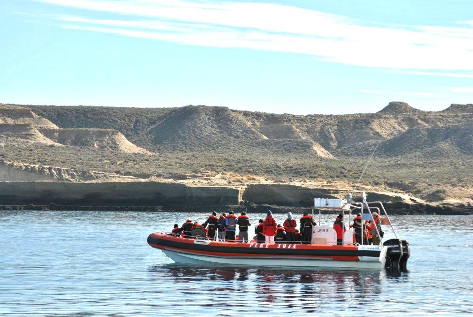 Ballenas en Puerto Madryn