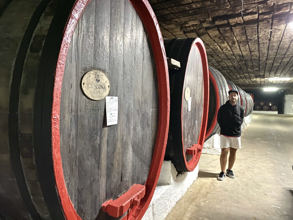 Visita a la Bodega Cricova y sus barriles