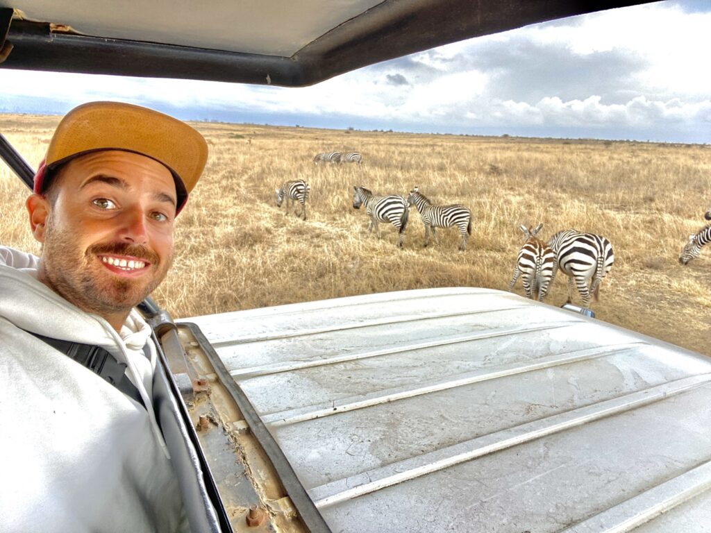 Cebras, Cebras y más Cebras