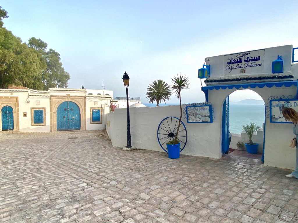 Que hacer en Sidi Bou Said 