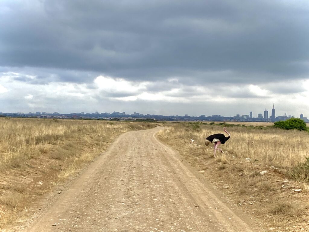 Parque Nacional de Nairobi con la Ciudad de fondo