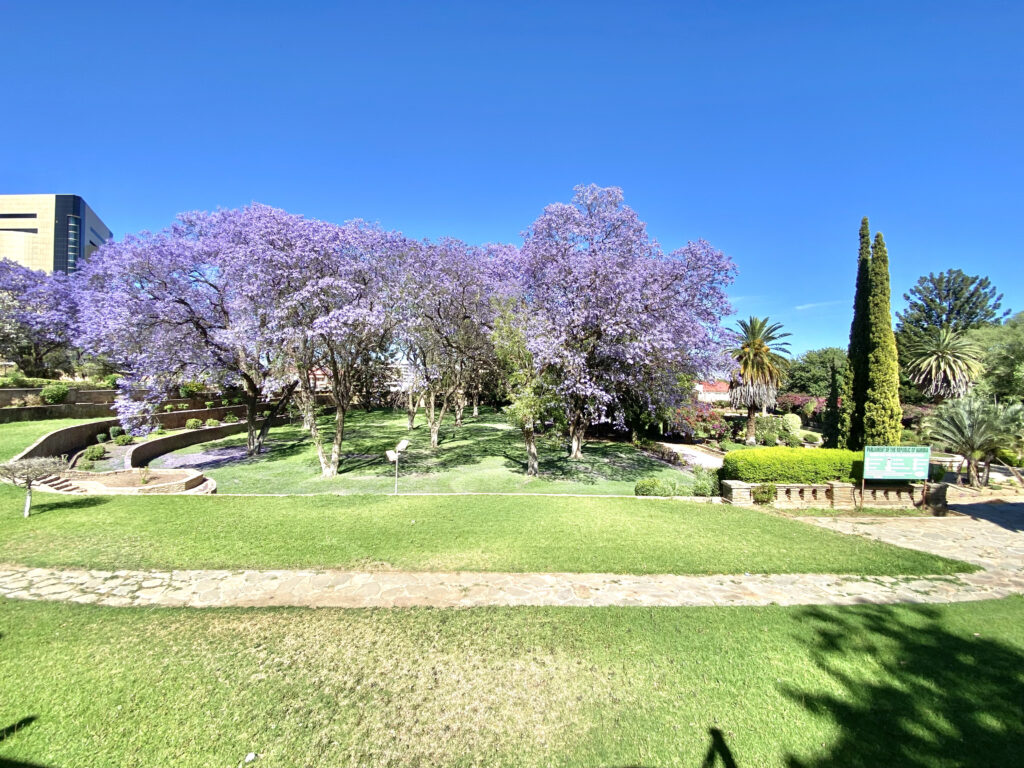 Que ver en Windhoek - Jardines del Parlamento