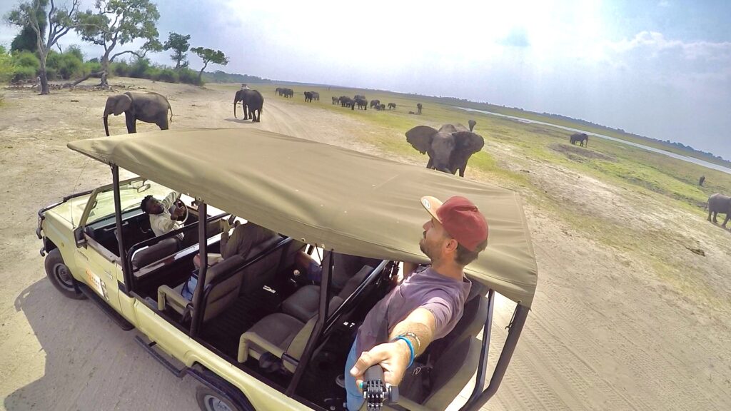 Elefantes en Chobe National Park