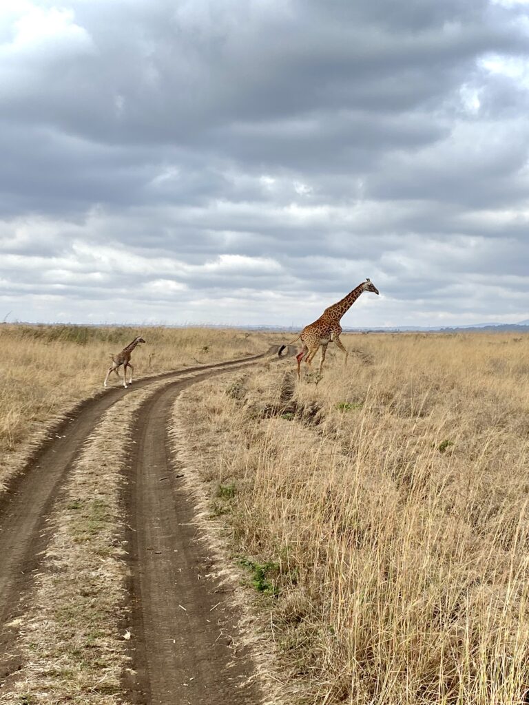 Parque Nacional de Nairobi