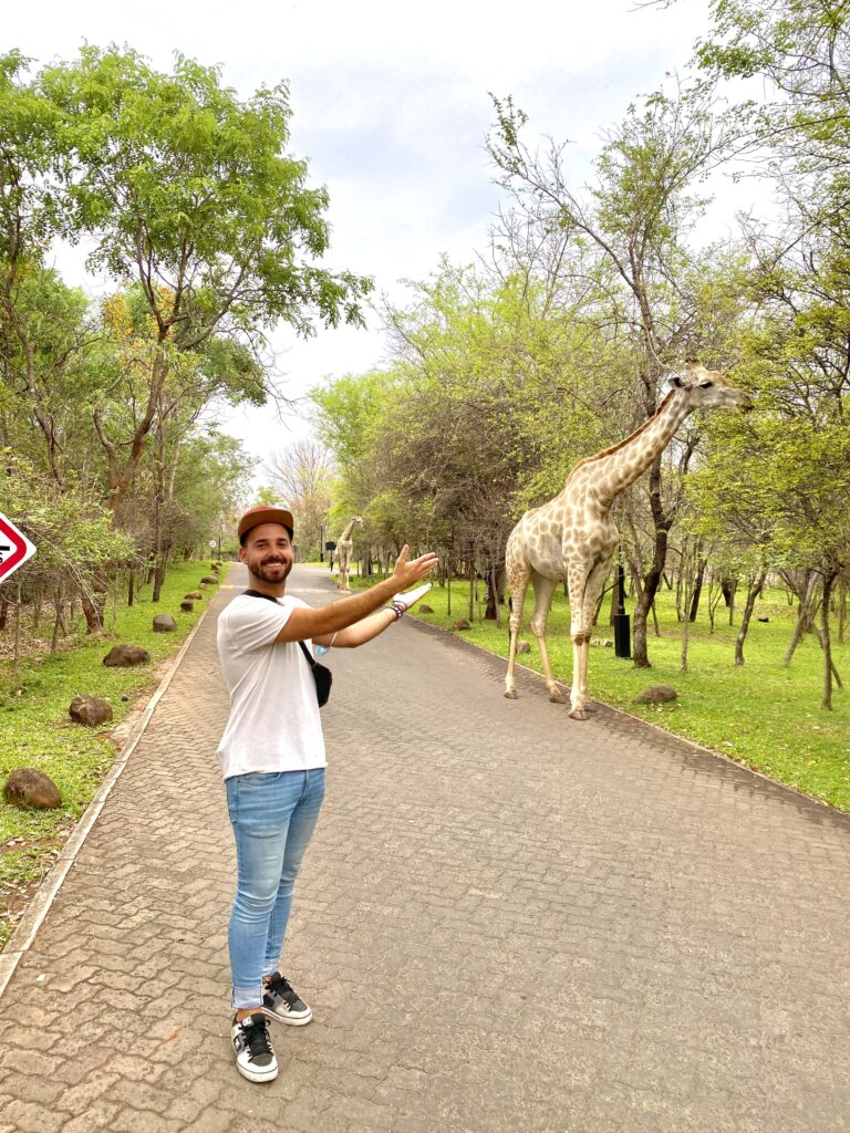 Jirafas en el Royal Livingstone Hotel