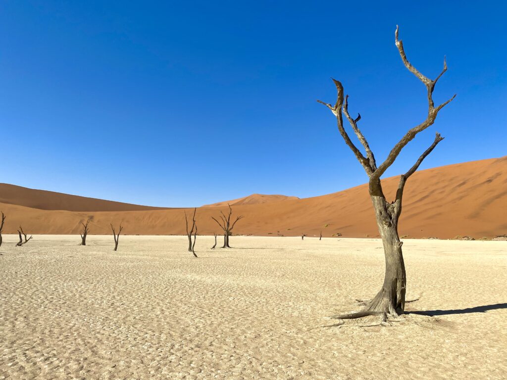 Deadvlei - El desierto de Namibia
