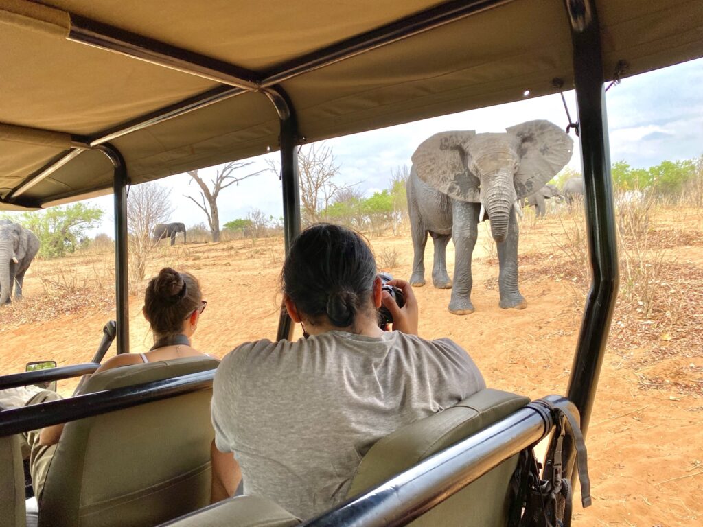 Elefantes en Chobe National Park