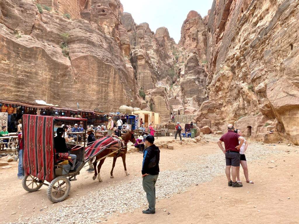 Caballos, burros y camellos por todos lados - curiosidades de petra