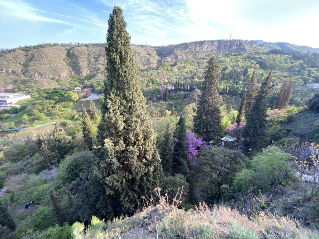 Jardín Botánico de Tiflis Georgia