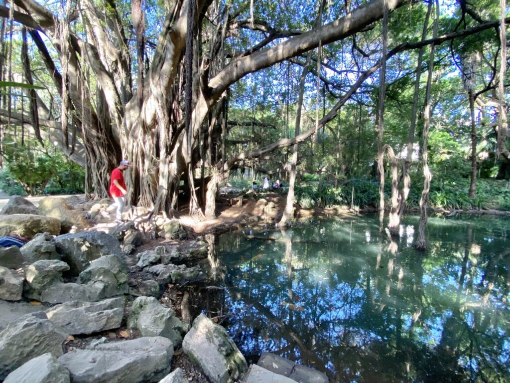 Jardín Botánico El Hamma Argel