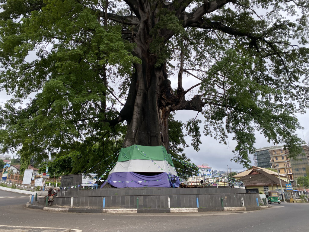 Cotton Tree de Freetown - Sierra Leona