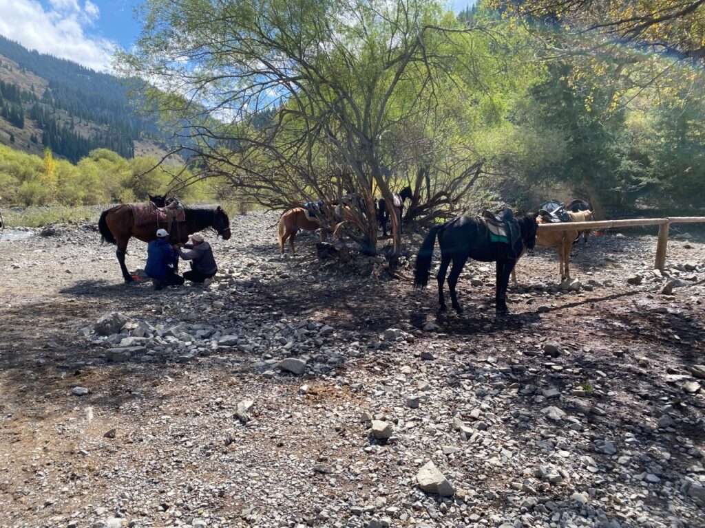 Caballos para hacer un tramo del recorrido hacia Lago Kaindy