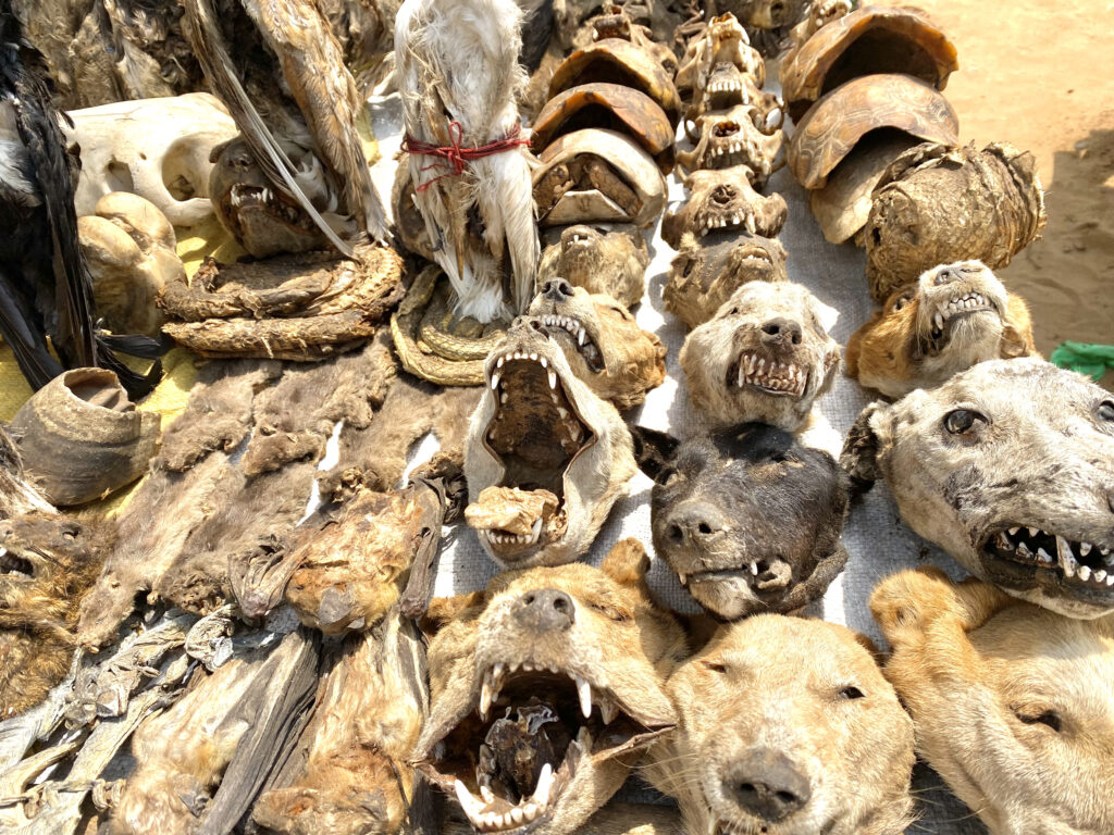 Mercado de Fetiches de Akodessewa en Togo