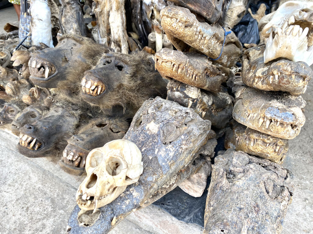 Mercado de Fetiches de Akodessewa