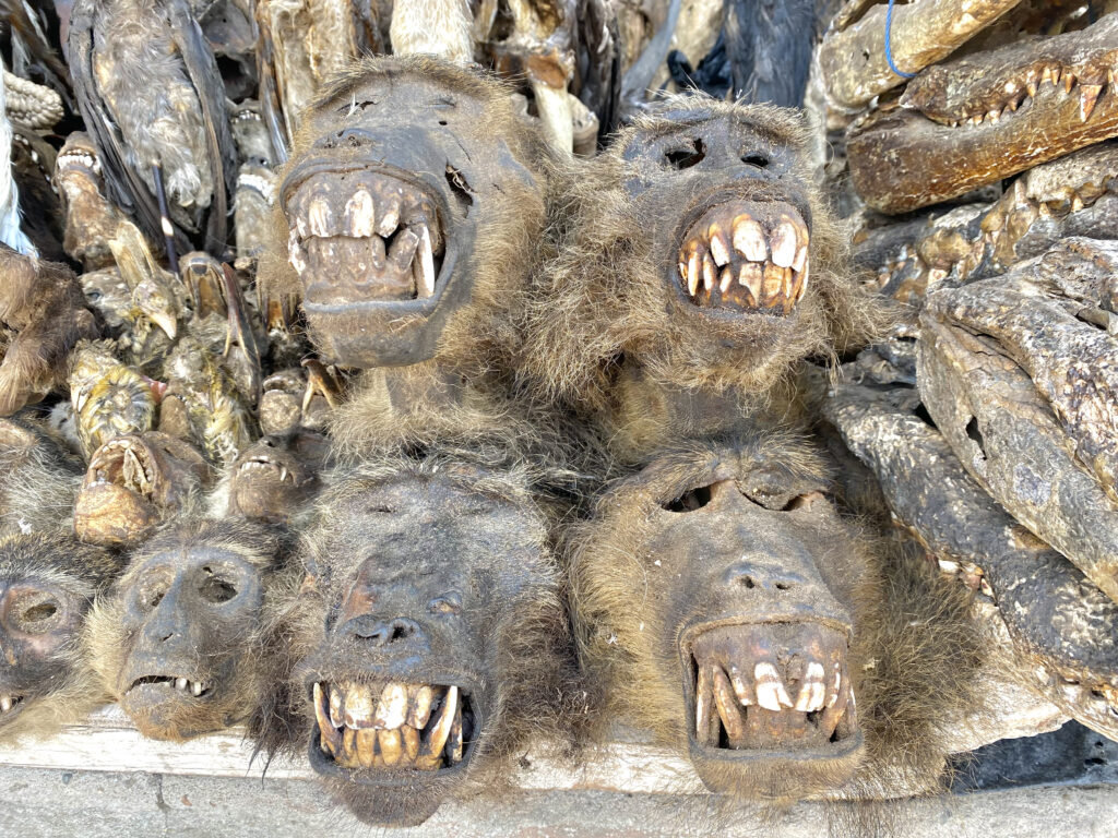 Mercado de Fetiches de Akodessewa