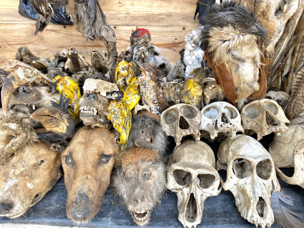 Mercado de Fetiches de Akodessewa en Togo