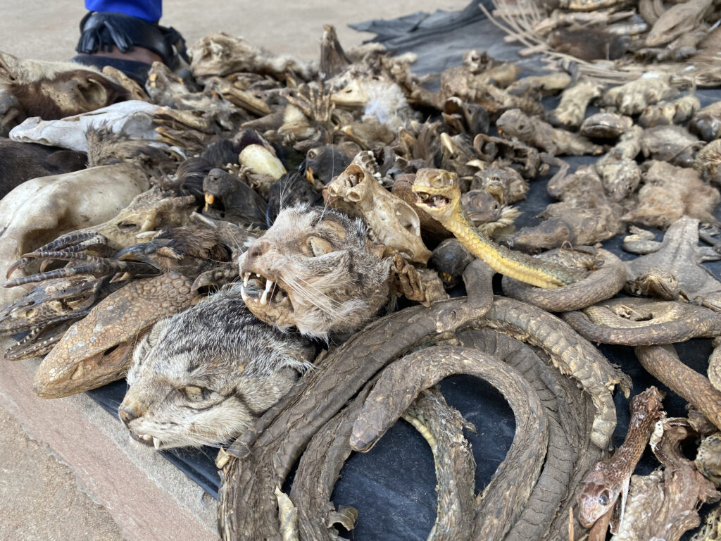 Mercado de Fetiches de Akodessewa en Togo