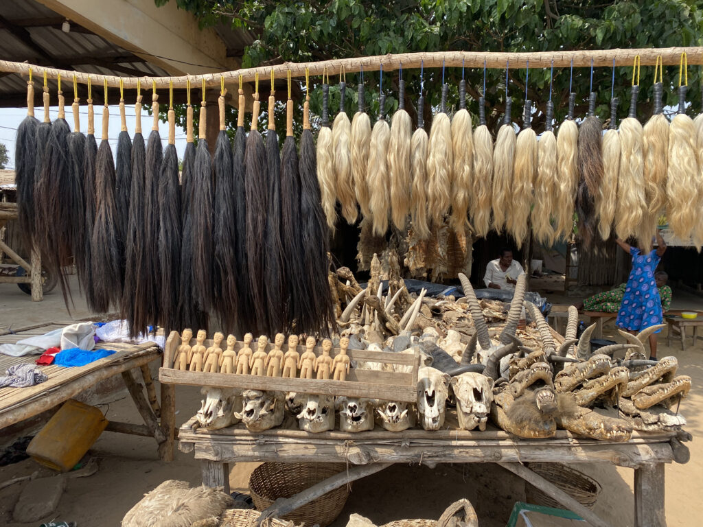 Colas de caballo y vaca para guíar los rituales en Togo