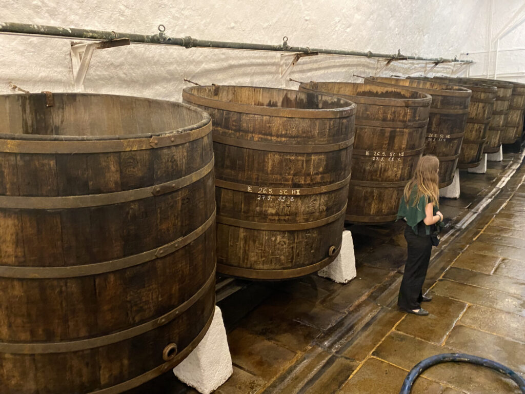 Que hacer en República Checa además de Praga - Pilsen